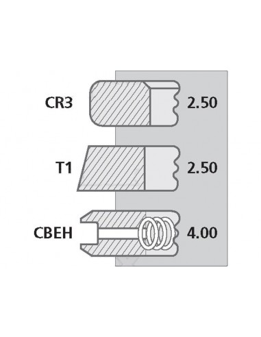 Segmenti Piston Ø 100-2.5x2.5x4 mm