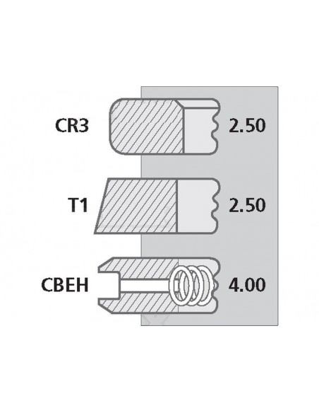 Segmenti Piston Ø 100-2.5x2.5x4 mm