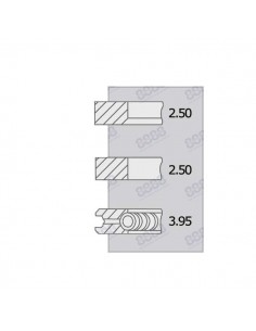 Piston Ring Set Ø 100-2.5x2.5x4 mm Perkins 4181A014, 4181A015, 4181A019, 4181A027, 4181A041 2