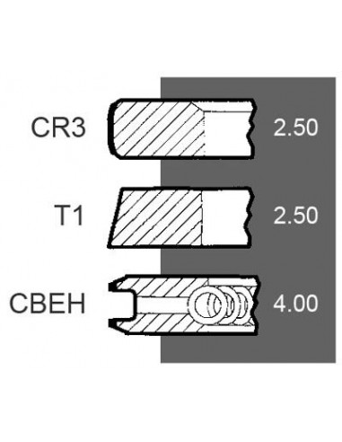 Segmenti Piston Ø 100-2.5x2.5x4 mm