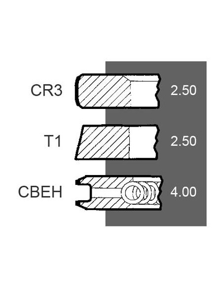 Piston Ring Set Ø 100-2.5x2.5x4 mm