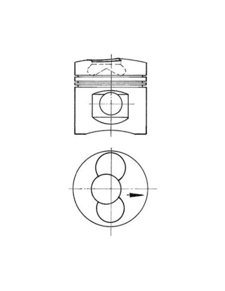 Piston cu Segmenti Ø 102 mm H 105.8 mm 90915700