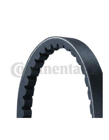 Curea Transmisie AVx13x725 mm