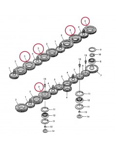 Gear 75x145 mm 56143120,274074, 80274074, CC19317, 2
