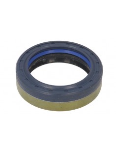 Simering 45x60x16/17 mm 84166622, 641735, 12019672, 12019672B