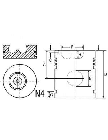 Piston Ø 100 mm - STD 1940174, 99476185