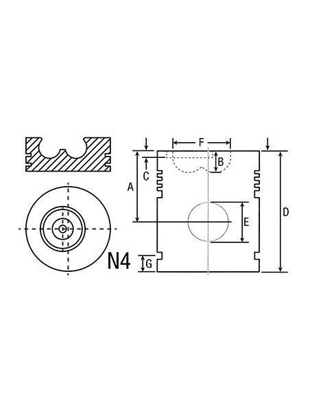 Piston Ø 100 mm - STD 1940174, 99476185