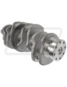 Arbore Motor D268 3228376R91 2