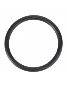 O-Ring Ø 20x2 mm - R70-FWN564 AGCO Fendt X548860466000