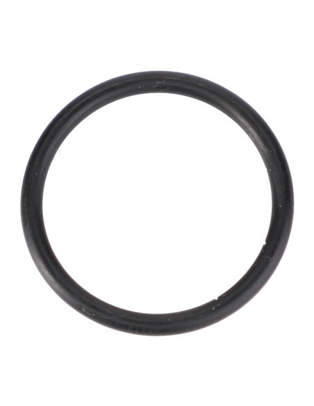 O-Ring Ø 20x2 mm - R70-FWN564 AGCO Fendt X548860466000