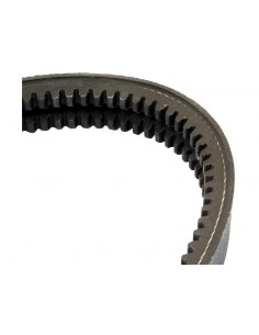 Curea Ventilator Dubla 2AVX10X1600 Deutz-Fahr 01180316, 1180316, 04157477