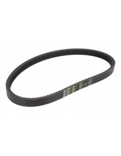 Curea Gates Agri 629035.1.26  1415210