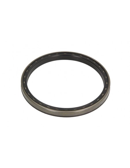 Simering 165X190X15.5/16.5 mm 3696866M2, 6695828A1, 84251055, 87309584