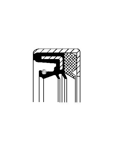 Simering 46x65x16.1 mm 12019329B