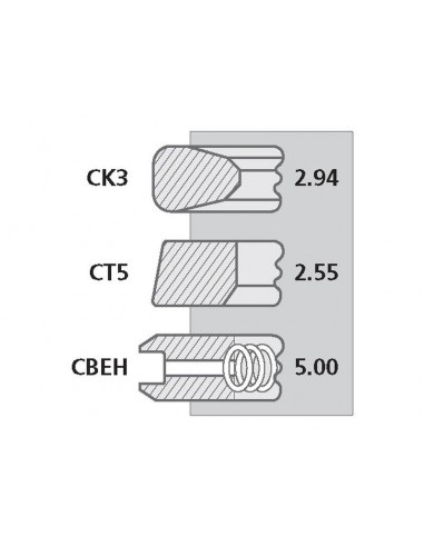Segmenti Piston Ø 100 - 2.94x2.55x5 mm 58607
