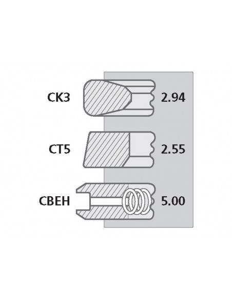 Segmenti Piston Ø 100 - 2.94x2.55x5 mm 58607