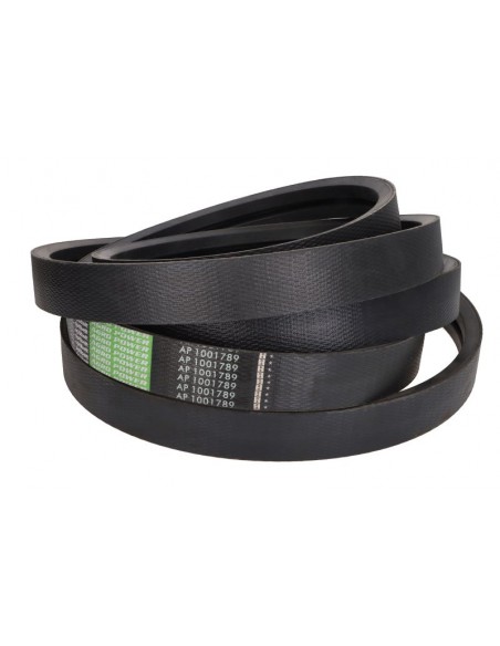Curea 2HC-5804 mm  H176765