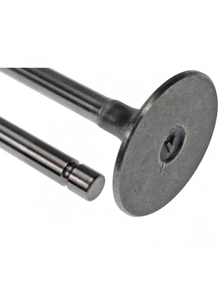 Supapa Evacuare Ø 36 mm RE557891 RE557891