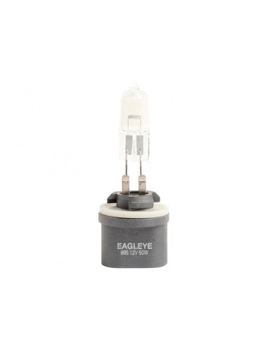 Bulb Halogen 12V - 50W - PG13 - 885