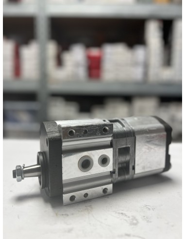 Tandem Hydraulic Pump 19+11 Cm3 0510665389, 3382280M1, 6005019352