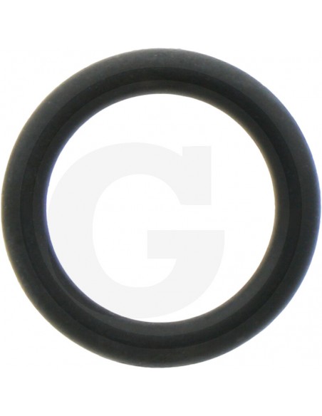 O-Ring CLAAS 6005019248, 60 050 1924 8