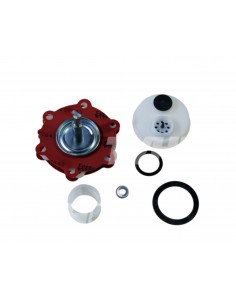 Kit Reparatie Pompa Combustibil 29/S4519/239