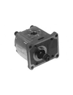 Hydraulic Pump 87325370, 87721169, 84467651, 85086286, 84530156, 73328631, 5094391, 5169772, 5129483,