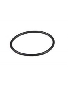O-Ring 17283680, 14459181