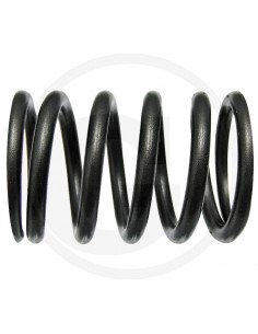 Arc Supapa Ø 34,80 mm H 49,30 mm F284201011010