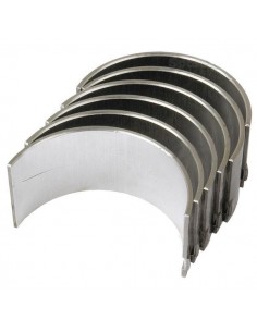 Cuzineti Biela STD SET 02/139009, 02139009, 185036, 31131171, 3604433M1, 40315, 59629, 733138M91, 737070M91, 81717671, 85036, 95