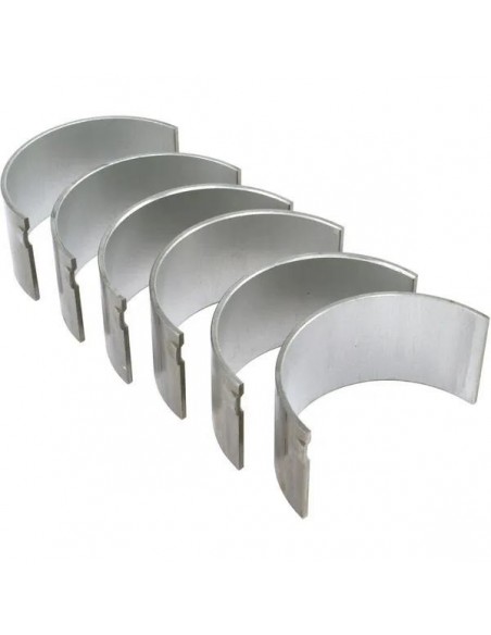 Cuzineti Biela STD SET 02/139009, 02139009, 185036, 31131171, 3604433M1, 40315, 59629, 733138M91, 737070M91, 81717671, 85036, 95