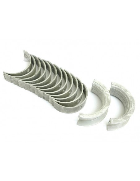 Cuzineti Palier 0.010''- 0.25 mm Case IH 3056820R11, 3056832R21