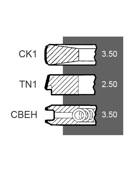 Piston Ring Set Ø 100 - 3.5X2.5X3.5 mm Perkins 4181A033, 293181A1, 4222136M91, 76601163, 02/201504, 1167868, 138-2073,