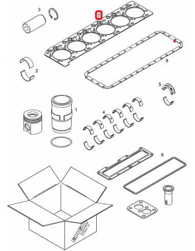 Cummins 3943366, J943366, 3943902, 3967059, 87775155