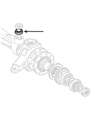 Trunion Bearing Ø 30x64x21 mm 05119699, 4960389,4967754, 5103177, 84229623, 84229624, 84266696