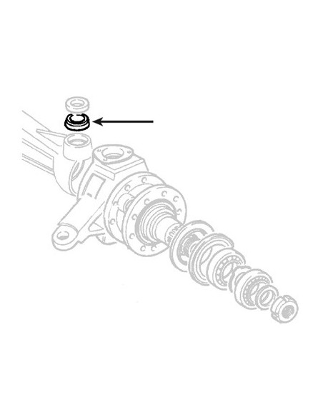 Rulment 30x64x21 mm 05119699, 4960389,4967754, 5103177, 84229623, 84229624, 84266696