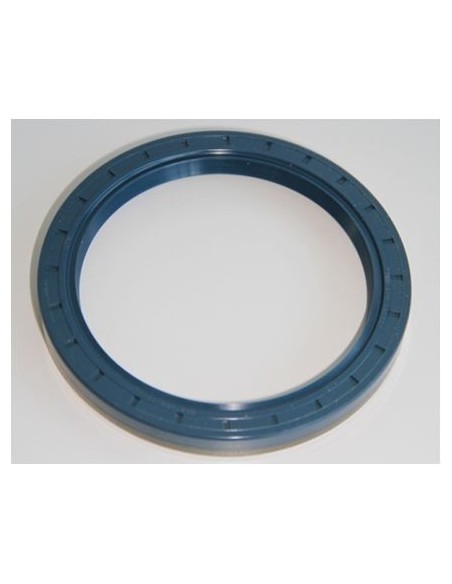Simering 100x125x13 mm