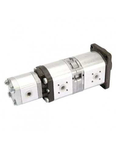 Hydraulic Pump 19+11+2 Cm³ 0510666303, 1517222721, 1517222846, 1517222847, G385941010010, G385.941.010.010, 51