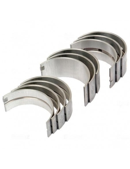 Cuzineti Palier 0.010''-0.25 mm SET Fiat 1909894, 725425. Iveco 615D