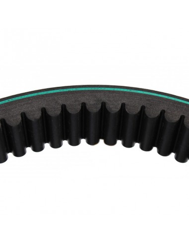 Belt 38x2450 mm 0211205, Z61154, Z54808, 1409652R1, 0211203, AP1001448