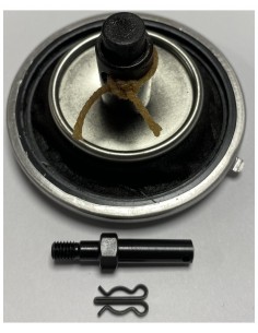 753186, 765292, 1420503022, 050558022, Membrane