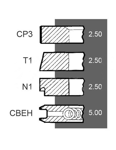 Segmenti Piston Ø 100 - 2.5x2.5x2.5x5 mm Same 0.024.0052.4/10, 0.024.0052.4, 00240052410, 240052410, 007200526