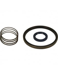 Seal Kit, Driveshaft, Suspension Cylinder Merlo 042077, 041695 2