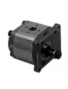 Hydraulic Pump 5129478, 1930058, 1901323, 569306, 8280040