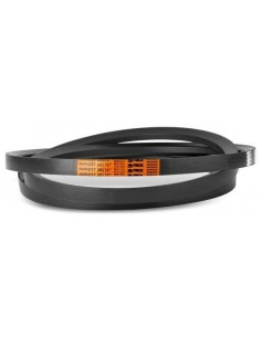 Curea 22x2800 mm 80230059, 89838606, C2800 191305C1 217700C1 632102R1 1408855R1 632702R1 191305C1A 742025.0 0114 1882 0114 1911