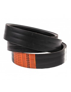 84188121, 84148382, Z43890, 71387775, W9811430, 181501.0, 0001815010, 181501, AN1462