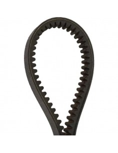 R568198, R222393, 84196804, 0210103, 0100187, AP1005348 2