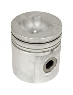 Piston 100 mm STD U5LL0015